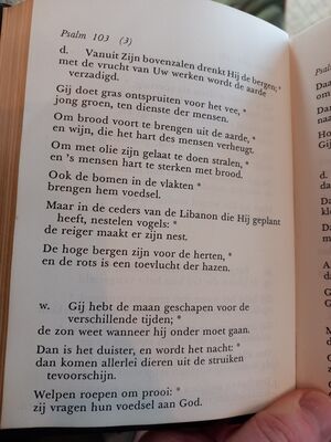 Psalm103 3.jpg